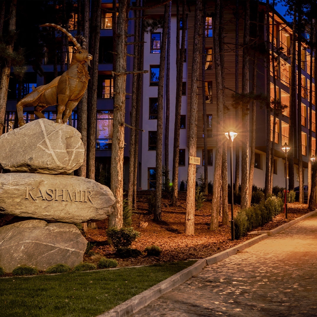 Kashmir Wellness & SPA Hotel
